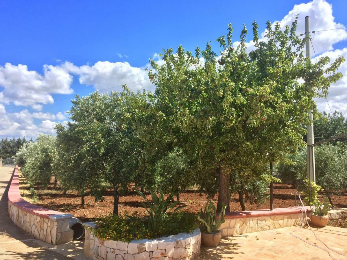 I Trulli Di Gina Appartamento Trullo 6 Persone Monopoli Kültér fotó